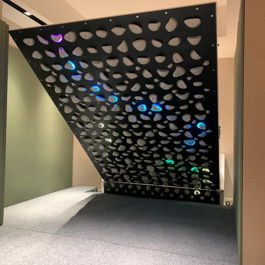 Electronically Adjustable Frame And Panels